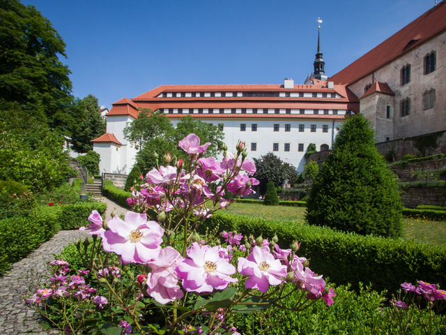 Rosengarten Schloss Hartenfels in Torgau, Foto: Torgau-Informations-Center